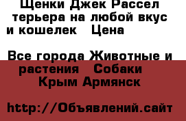 Щенки Джек Рассел терьера на любой вкус и кошелек › Цена ­ 13 000 - Все города Животные и растения » Собаки   . Крым,Армянск